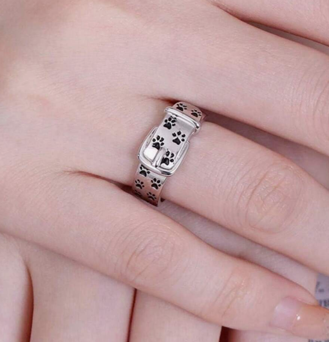 Anel uz kaķa kakla siksnu